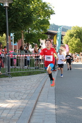 IMG 9071